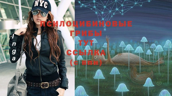 прущий лед Нея