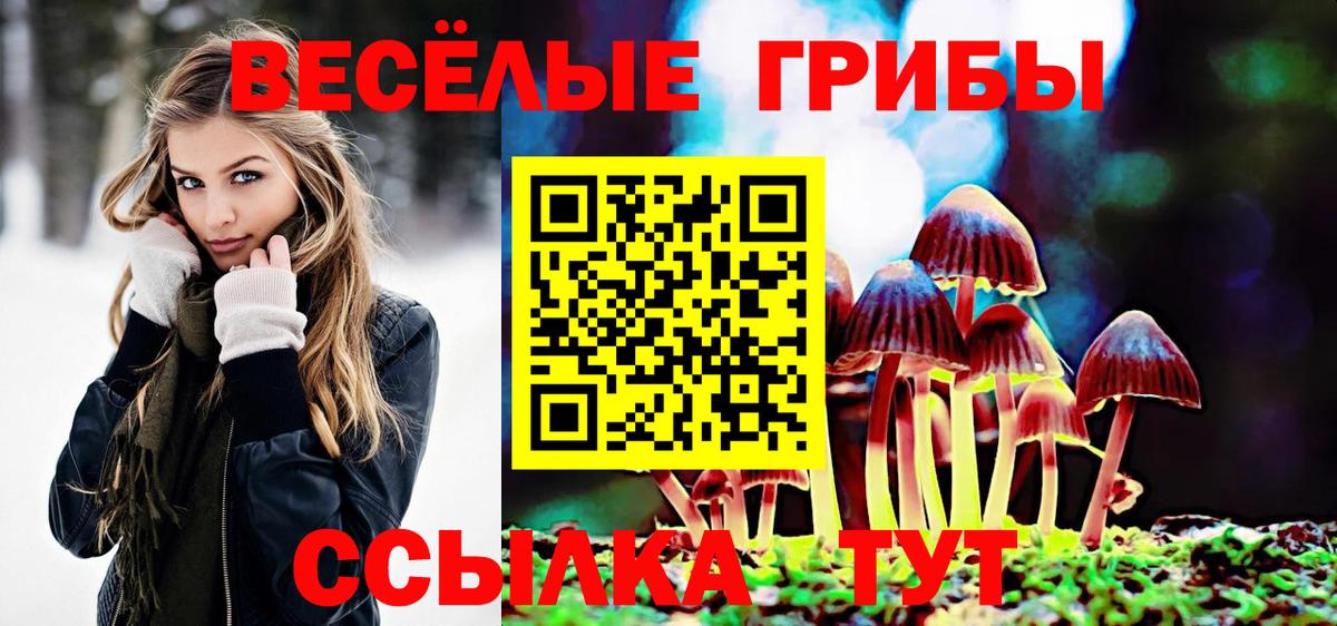 Псилоцибиновые грибы мухоморы Долгопрудный