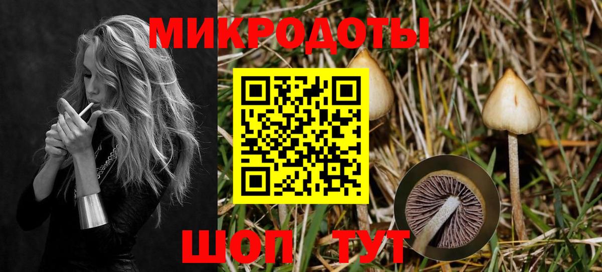 Псилоцибиновые грибы MAGIC MUSHROOMS  Галлюциногенные грибы мицелий  Долгопрудный 